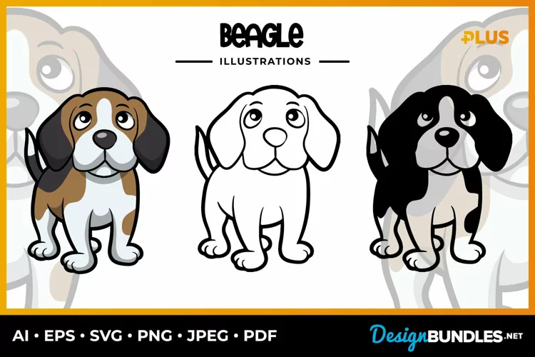 Beagle Collection