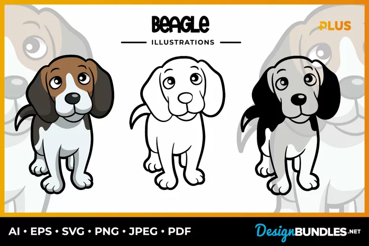 Beagle Collection