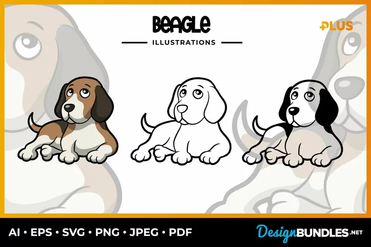 Beagle Collection