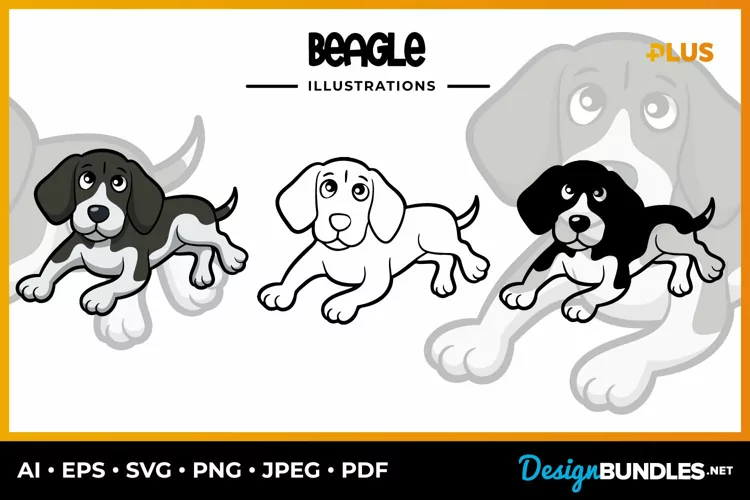 Beagle Collection