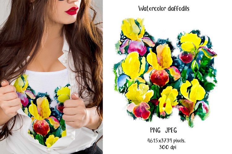 Daffodils Clipart Image 3