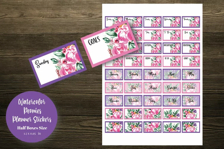 Watercolor Peonies Half Boxes Planner Stickers