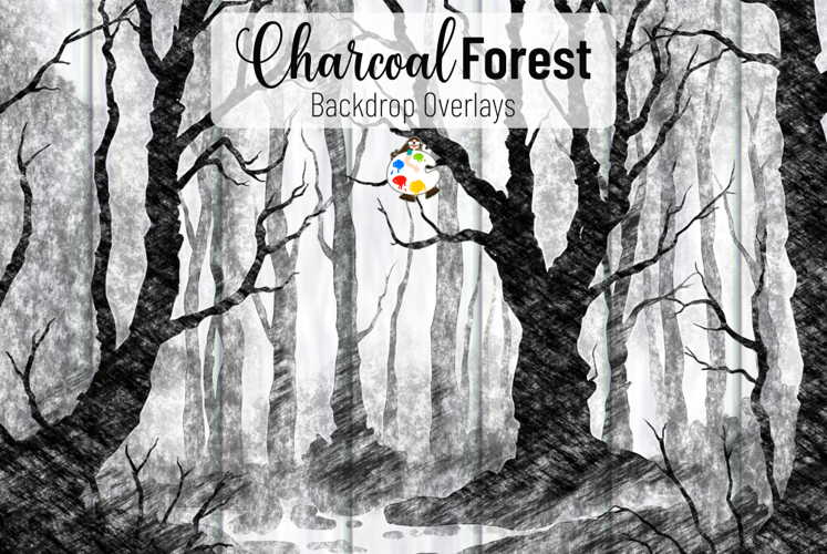 Spooky Charcoal Autumn Forest Overlay Backgrounds
