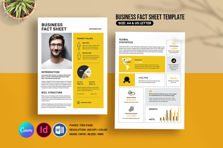 Business Fact Sheet Template, Canva, Indesign & Word