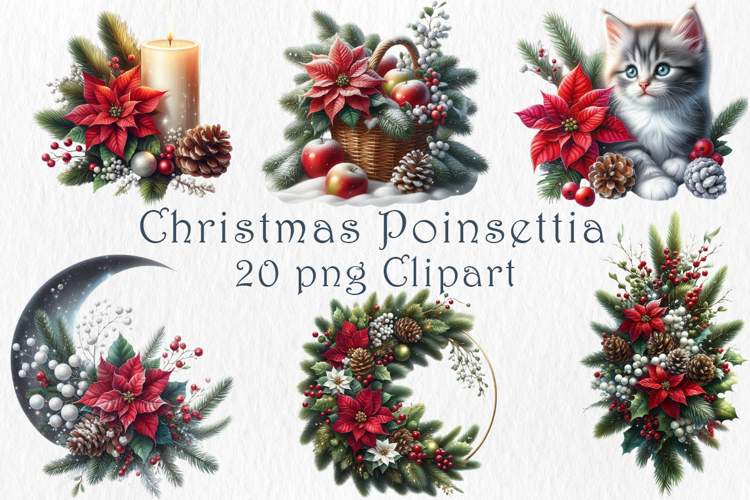 Christmas Poinsettia Clipart Set, 20 png
