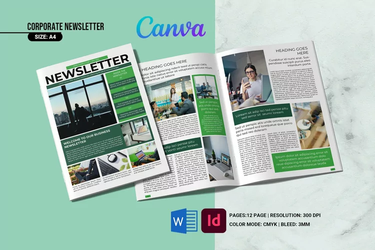 Business Newsletter Template, Ms Word , Indesign & Canva