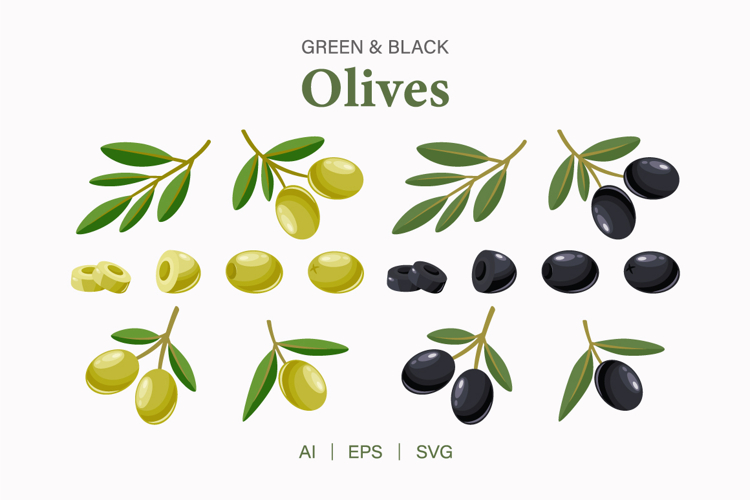 Green   Black Olives Vector Set