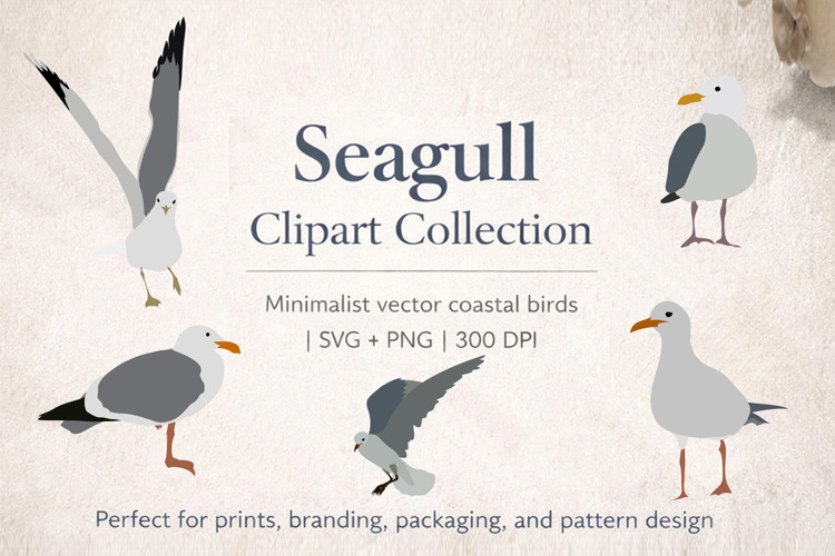  Seagull Clipart