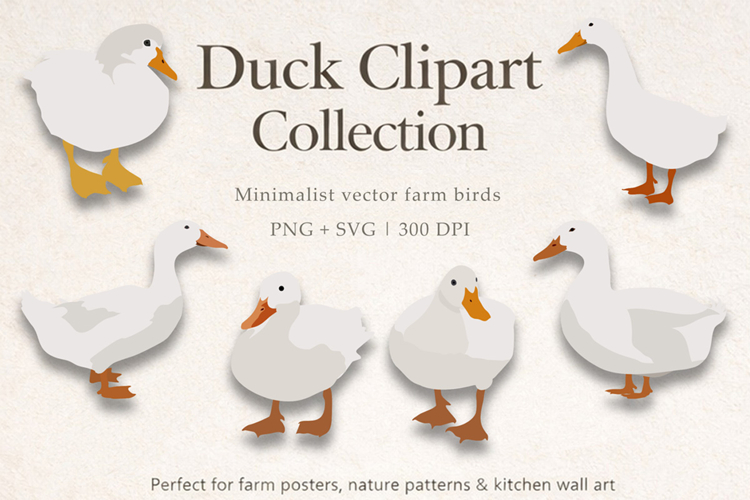 Goose Clipart Set, Minimalist Farm Birds Illustration