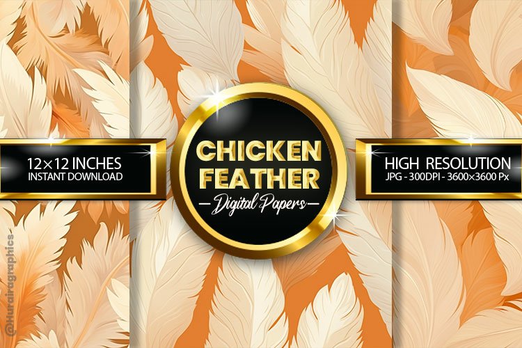 Feather Clipart Image 19