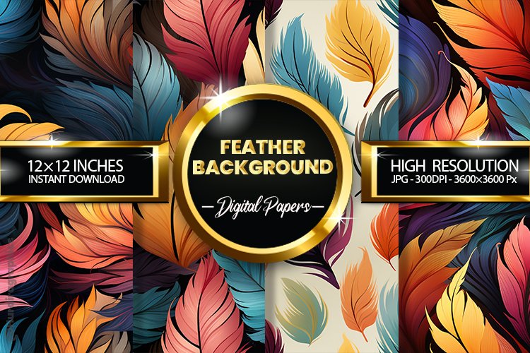Feather Clipart Image 24