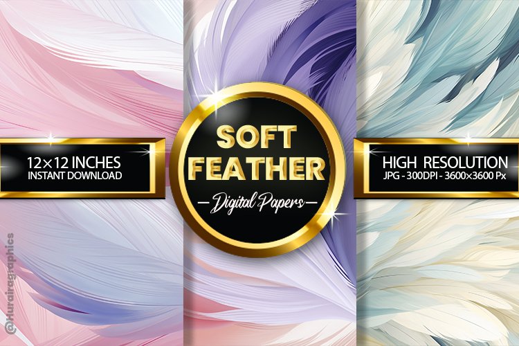 Feather Clipart Image 22