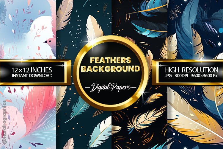 Feather Clipart Image 20