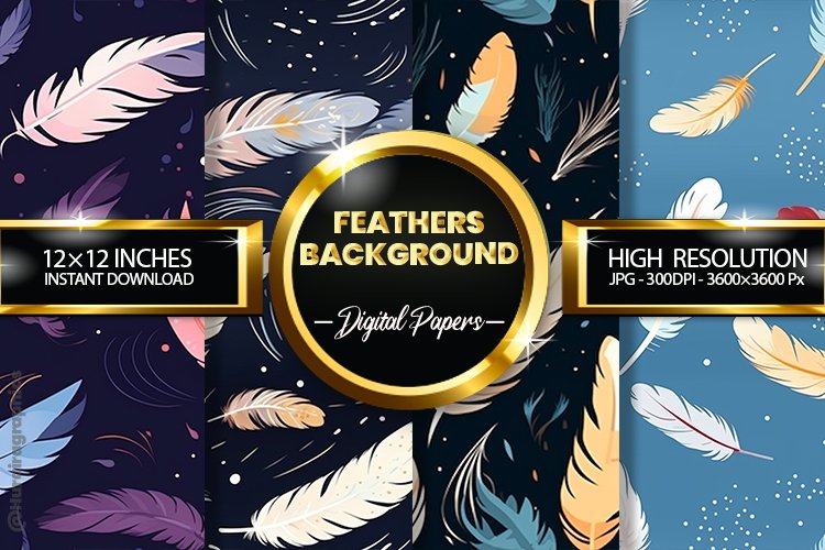 Feather Clipart Image 22
