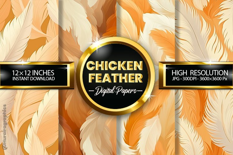 Feather Clipart Image 17