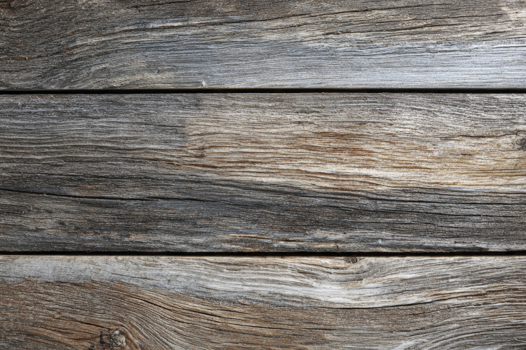 Craft Clipart Image 23