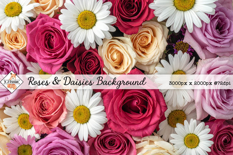 Roses & Daisies Background jpg | Flower Photos