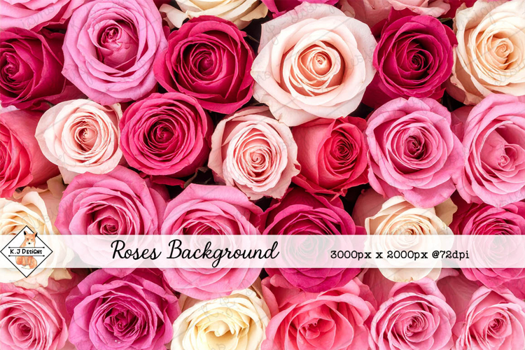 Roses Background jpg | Flower Photos