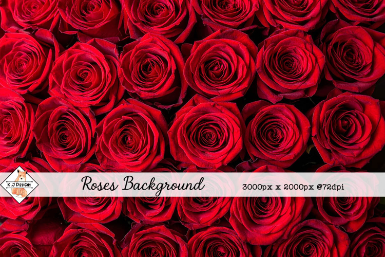 Roses Background jpg | Flower Photos