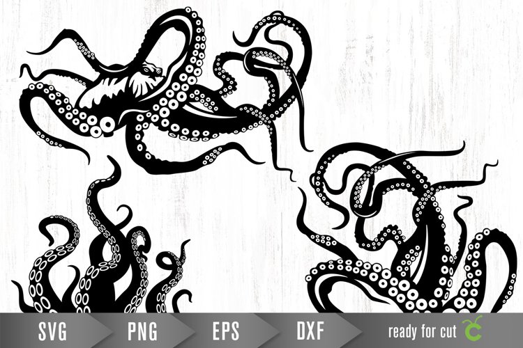 Octopus Png Image 16