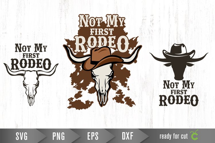 Rodeo Png Image 6