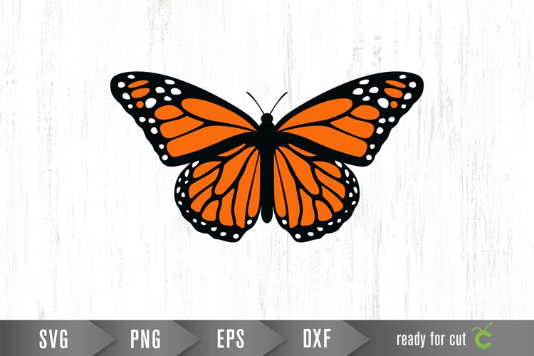 Butterfly Vectors Image 8