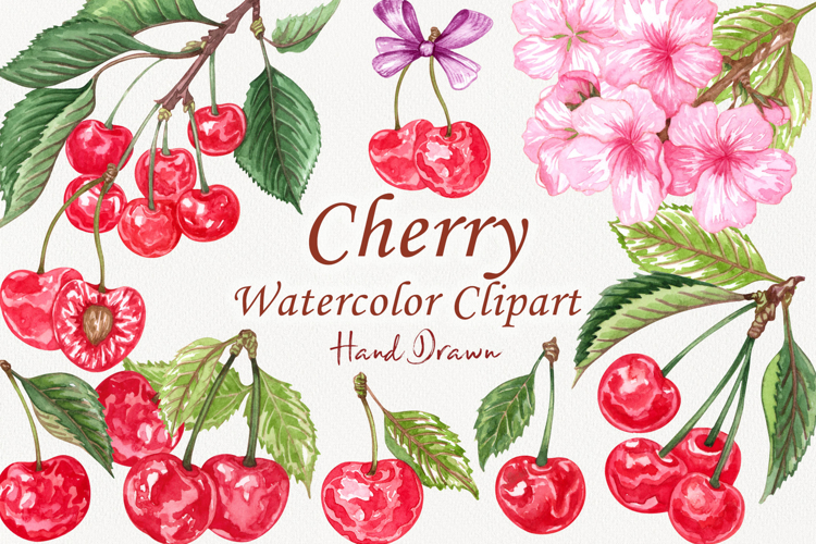 Cherry Clipart Image 14