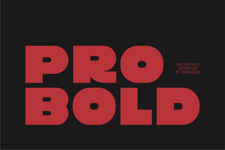Pro Bold - Sans Serif Bold Font