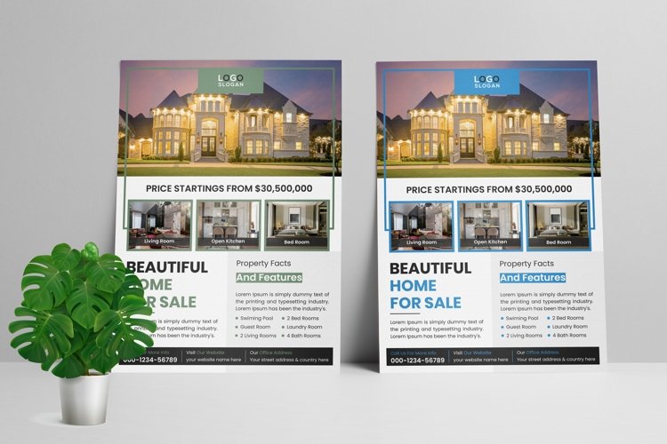 Pro Real Estate Flyer Template