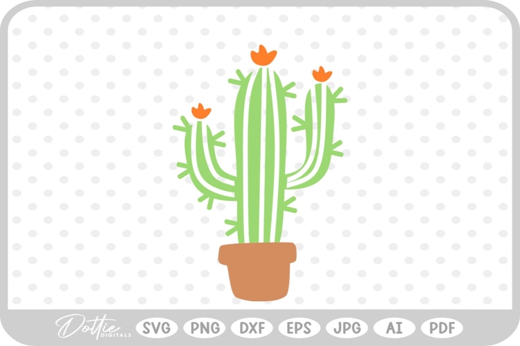 Cactus Vector Image 12