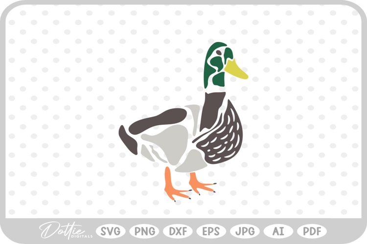 Duck Png Image 19