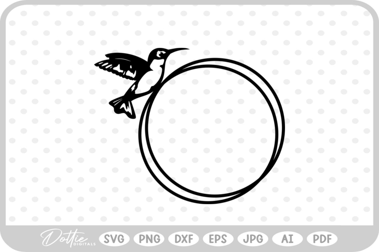 Hummingbird Illustration Image 13