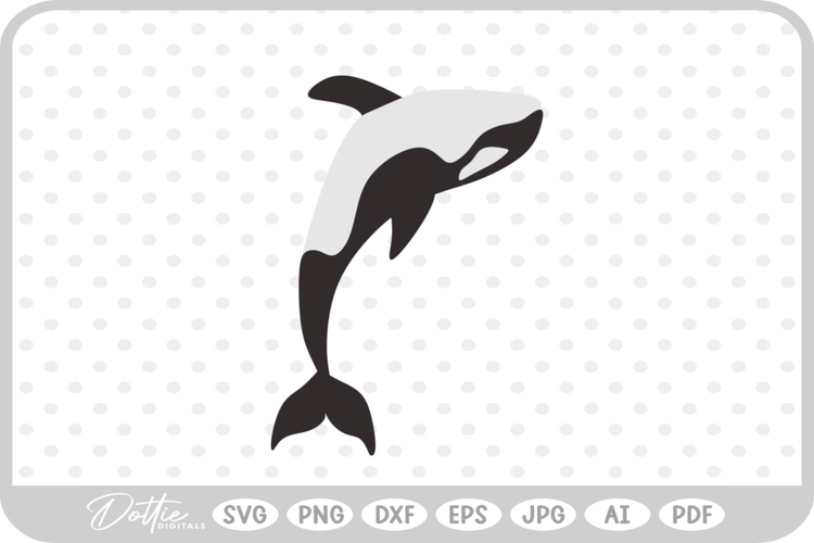 Whale Illustration Image 11