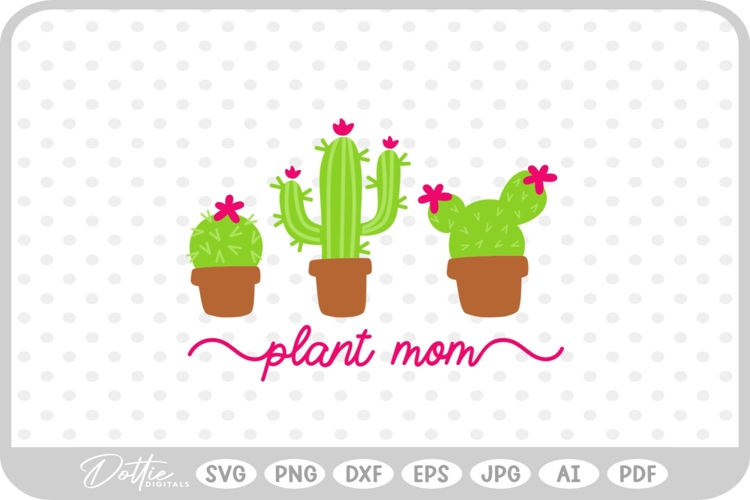 Cactus Vector Image 20