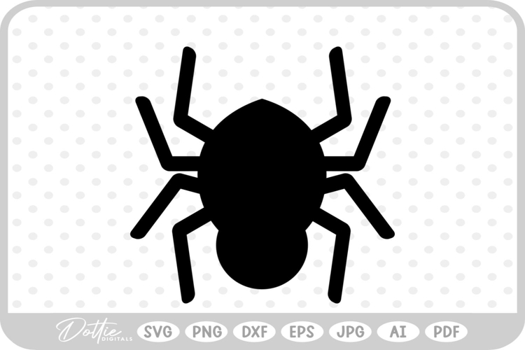Spider PNG Image 13
