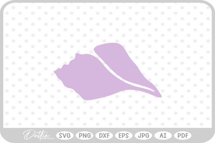 Shell Illustration Image 20