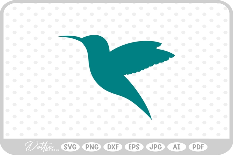 Hummingbird Illustration