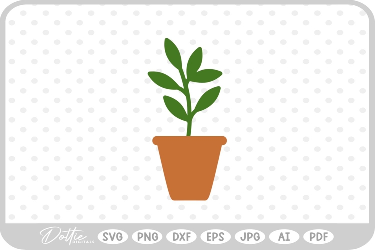 Plant Png Image 24