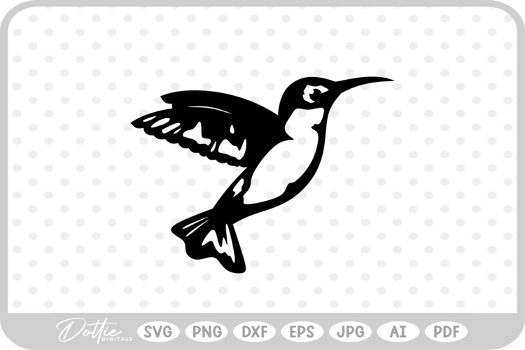 Hummingbird Illustration Image 7