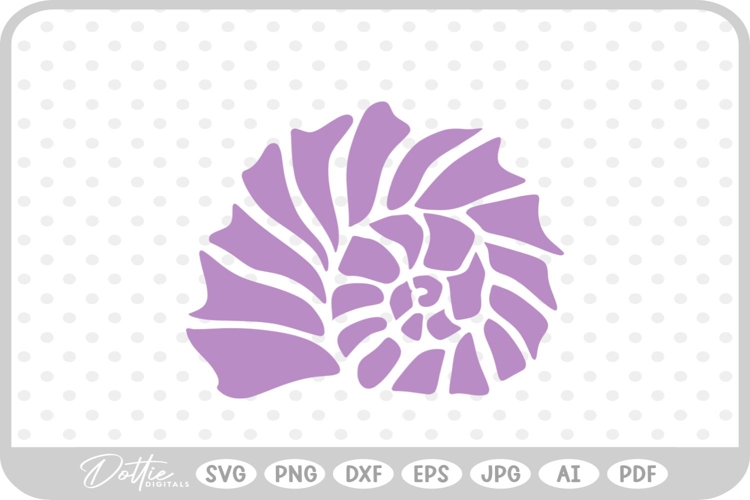 Shell Illustration Image 21