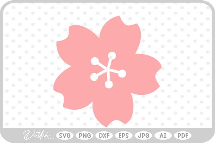 Cherry Vector Image 12
