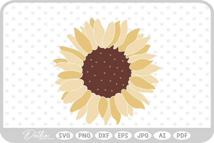 Sunflower PNG Image 16