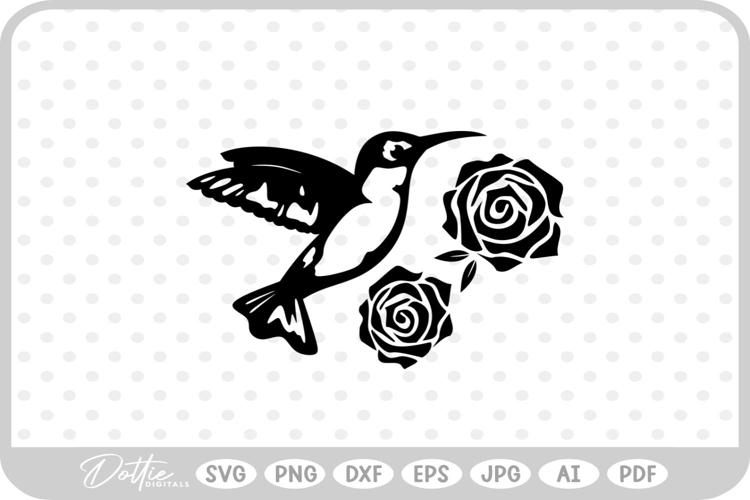Hummingbird Illustration Image 3