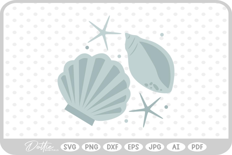 Shell Illustration Image 8