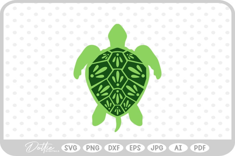 Shell Illustration Image 18