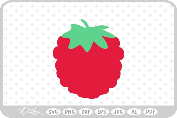 Raspberry Illustration Image 10
