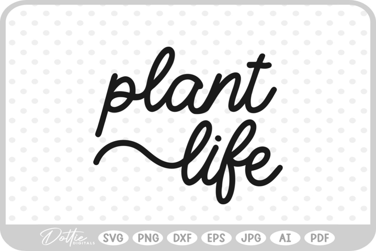 Cactus Vector Image 16
