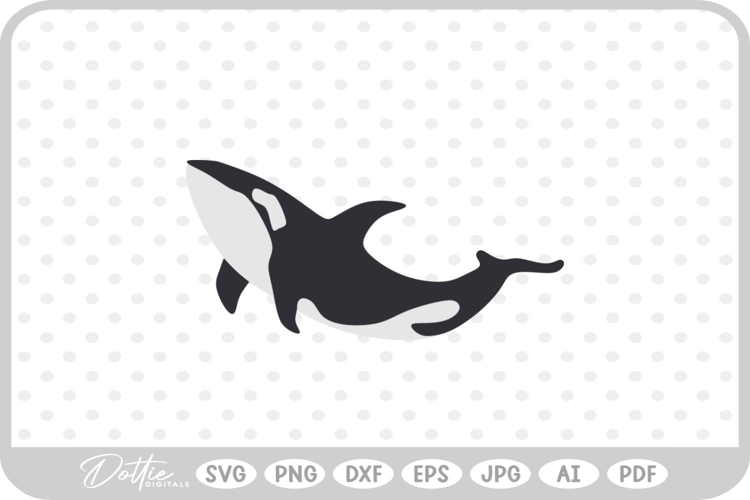 Whale Illustration Image 10