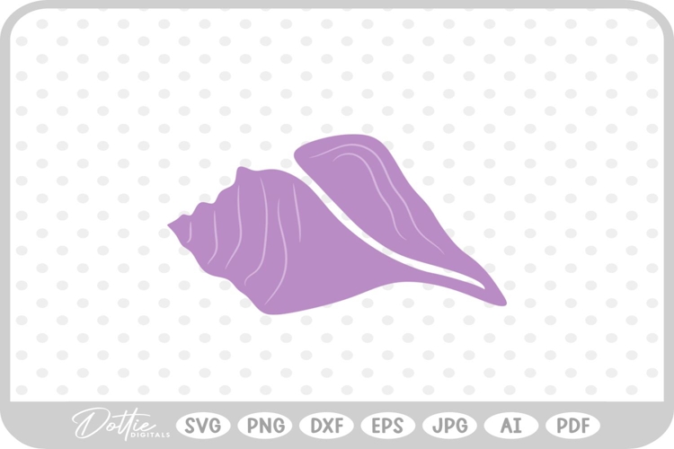 Shell Illustration Image 23
