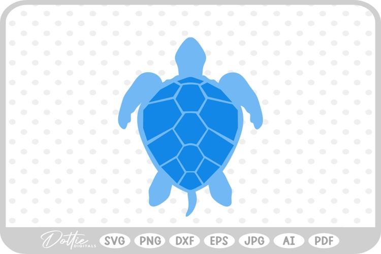 Turtle Illustration Image 11